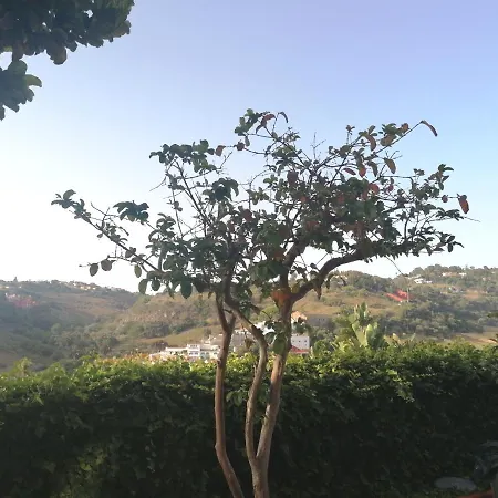 Sweet Dreams Апартаменты *