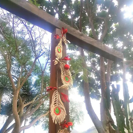 Апартаменты Sweet Dreams Санта-Брихида