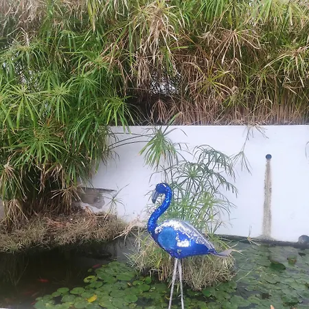 Sweet Dreams Санта-Брихида